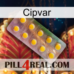 Cipvar new11